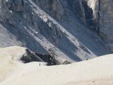IMG_0499