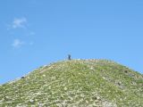 IMG_2202