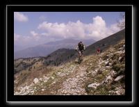 PICT0033