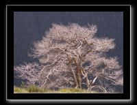 PICT0048