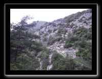 PICT0120