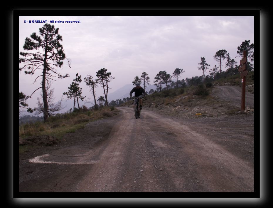 PICT0086