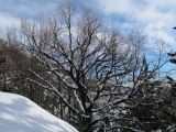 IMG_0857