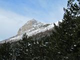 IMG_0860